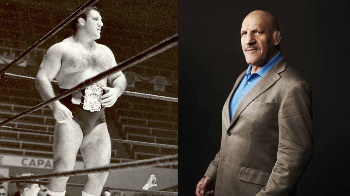 Sammartino no fan of McMahon