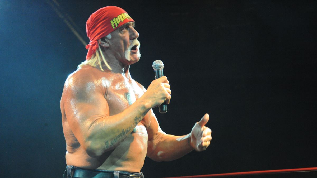 Settlement Reached in Hulk Hogan, Bubba the Love Sponge Case