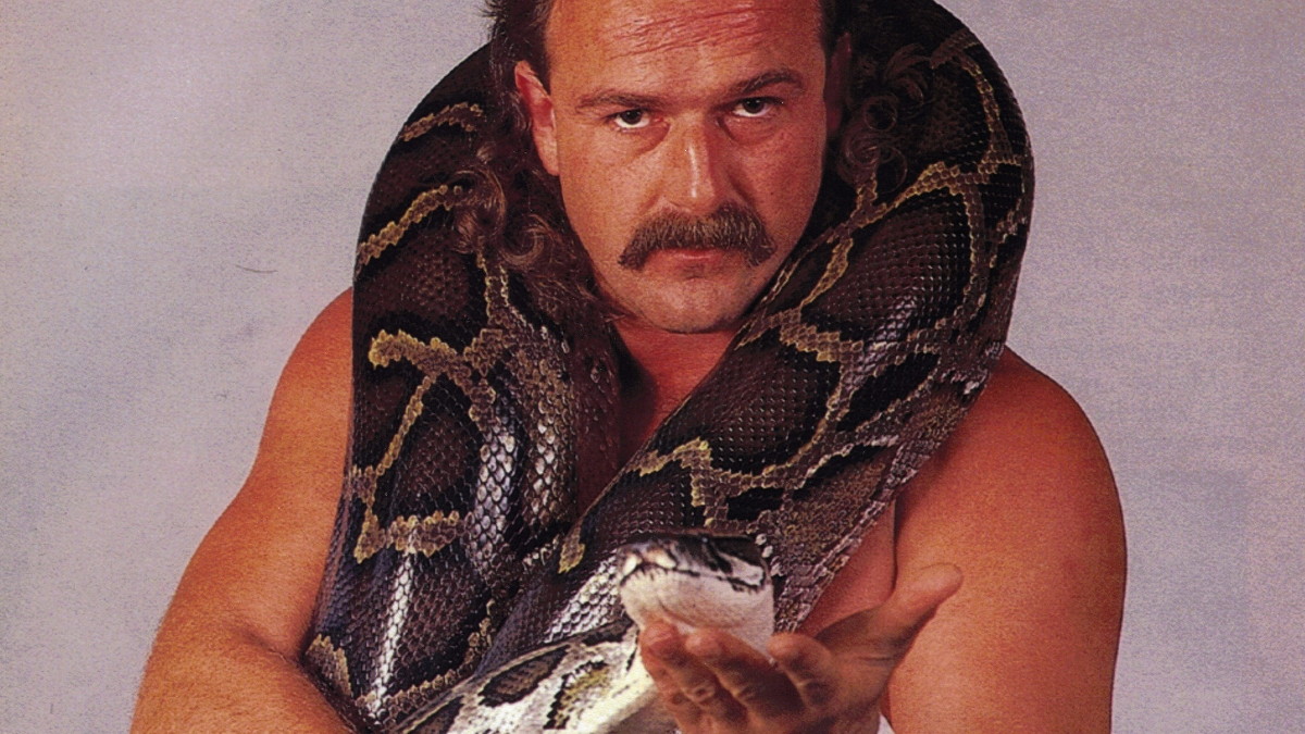 Jake The Snake Roberts banner
