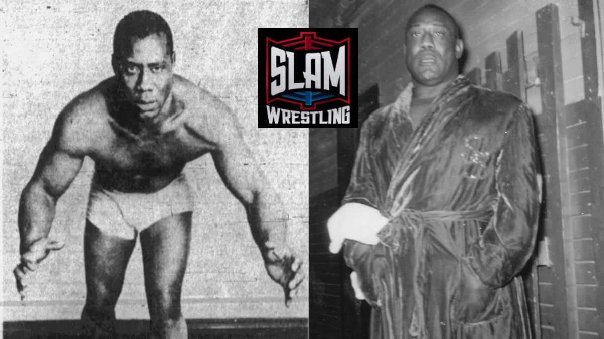 The final years and legacy of Seelie Samara