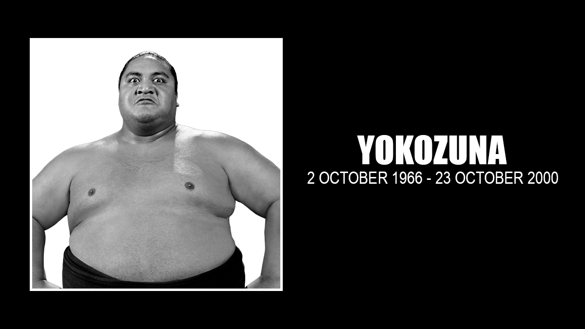 Yokozuna