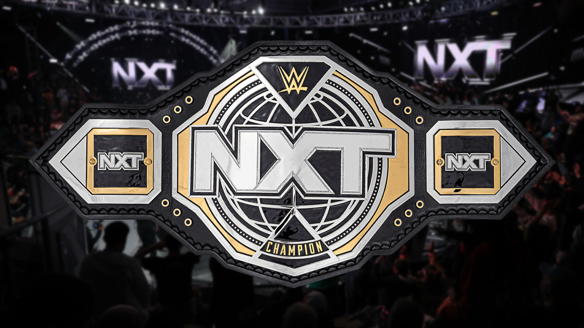 New WWE NXT Champion Crowned In Huge Ladder Match