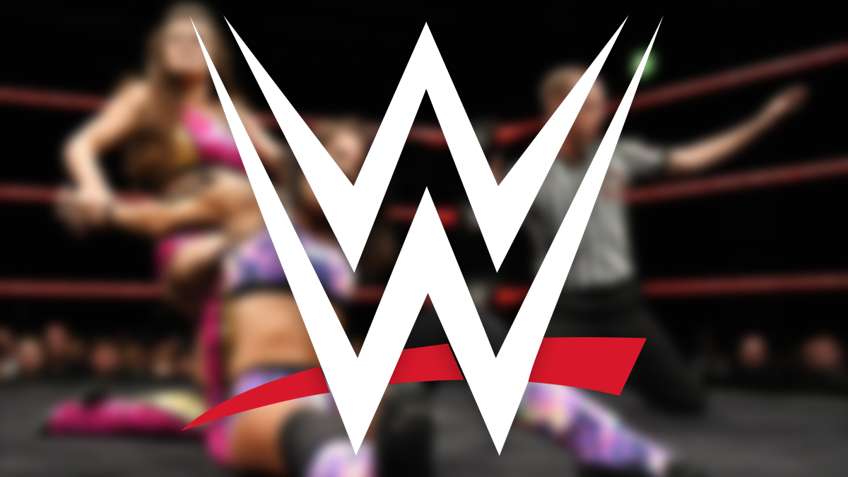 Former WWE Star Wrestles First Match In Nearly A Year