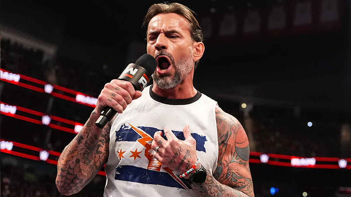 Writer Behind CM Punk's Controversial WWE Raw Promo Revealed