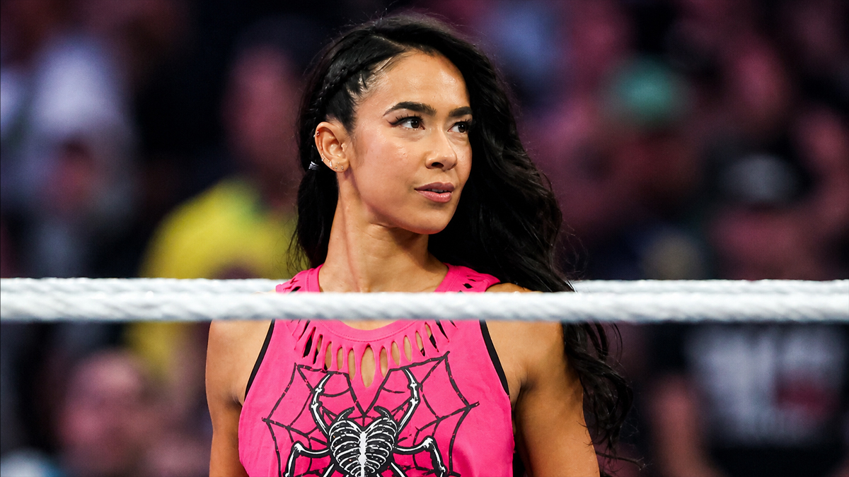 Update On AJ Lee's WWE Status